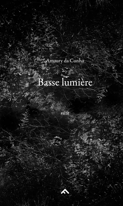 Basse lumière : récit