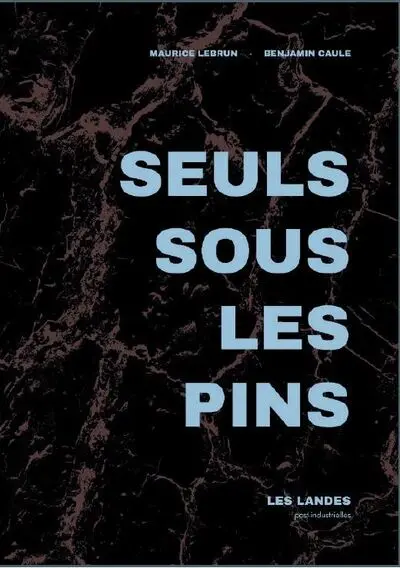 Seuls sous les pins : les Landes post-industrielles