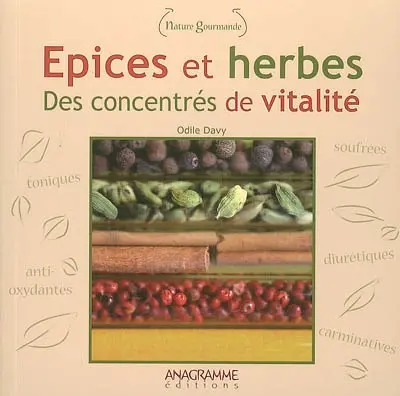 Epices et herbes : des concentrés de vitalité