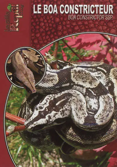 Le boa constricteur : Boa constrictor
