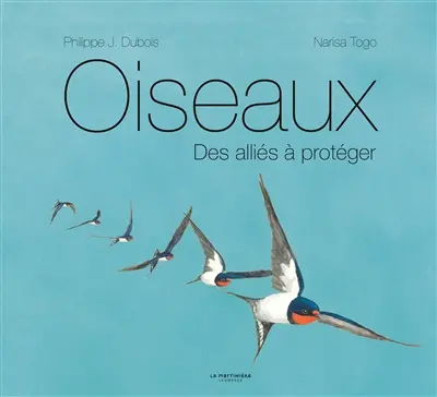 Oiseaux : des alliés à protéger