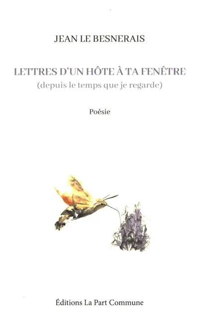 Lettres d'un hôte à ta fenêtre : depuis le temps que je regarde