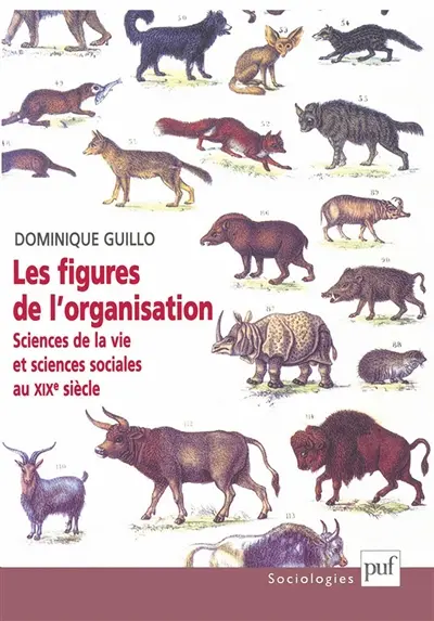 Les figures de l'organisation : sciences de la vie et sciences sociales au XIXe siècle