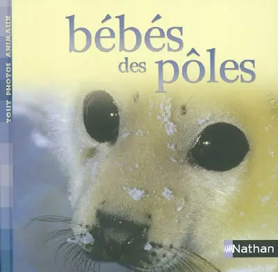 Bébés des pôles
