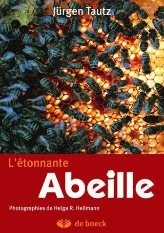 L'étonnante abeille