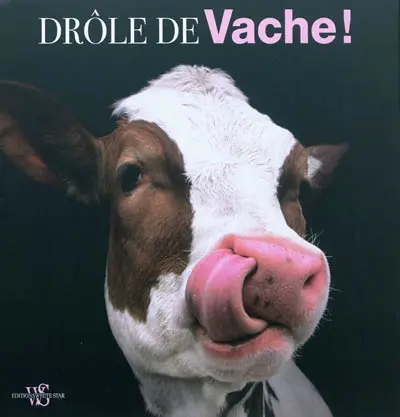 Drôle de vaches !