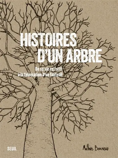 Histoires d'un arbre : de sa vie en forêt à la fabrication d'un fauteuil