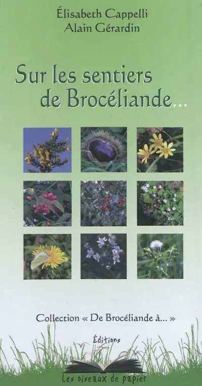 Sur les sentiers de Brocéliande