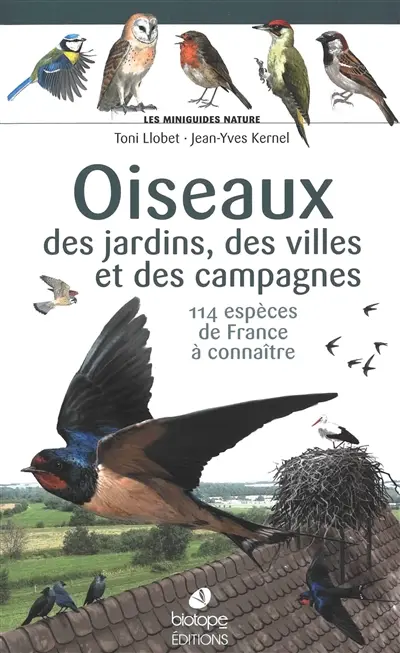 Oiseaux des jardins, des villes et des campagnes : 114 espèces de France à connaître