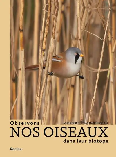 Observons nos oiseaux dans leur biotope