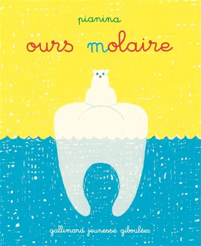 Ours molaire