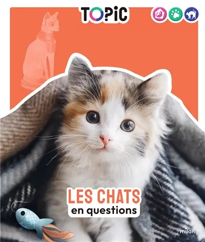 Les chats en questions