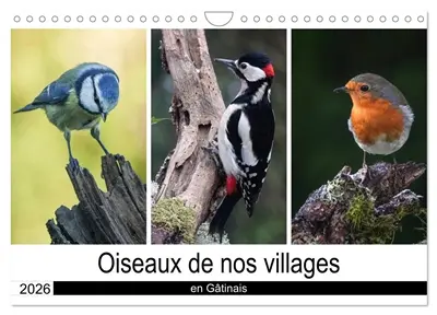 Oiseaux de nos villages en Gâtinais (Calendrier mural 2026 DIN A4 vertical), CALVENDO calendrier mensuel : Photographies d'oiseaux que l'on peut voir en France