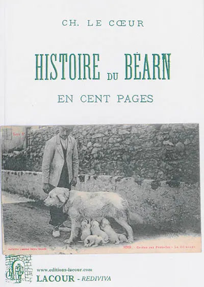 Histoire du Béarn en cent pages