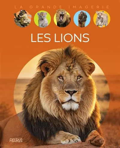 Les lions