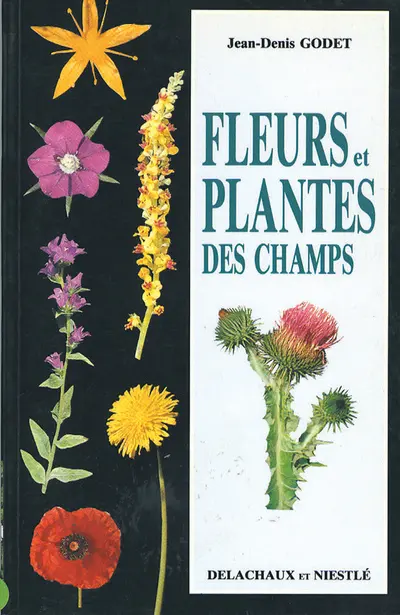 Fleurs et plantes des champs