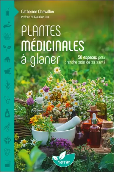 Plantes médicinales à glaner : 58 espèces pour prendre soin de sa santé