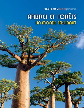 Arbres et forêts, un monde fascinant
