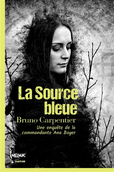 La source bleue : une enquête de la commandante Ana Boyer