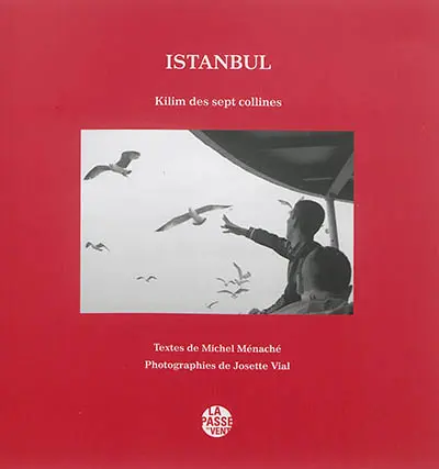 Istanbul : kilim des sept collines