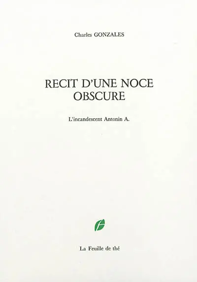 Récit d'une noce obscure : l'incandescent Antonin A.