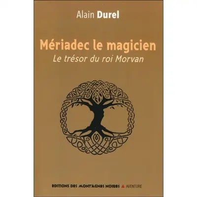 Mériadec le magicien : le trésor du roi Morvan