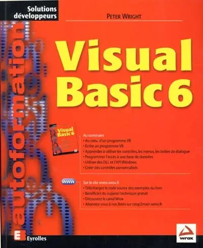 Visual Basic 6