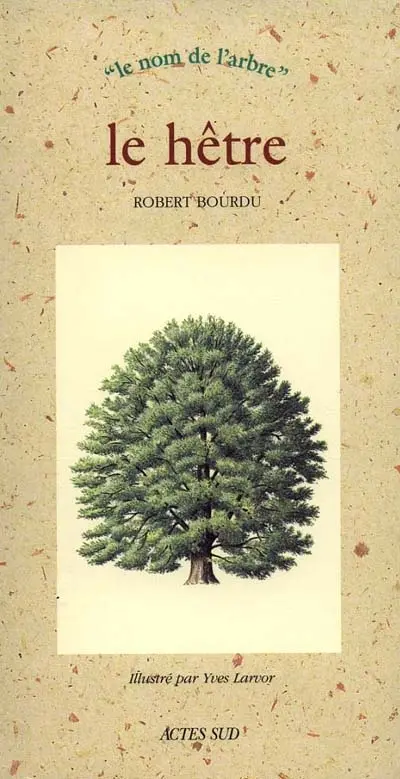 Le hêtre