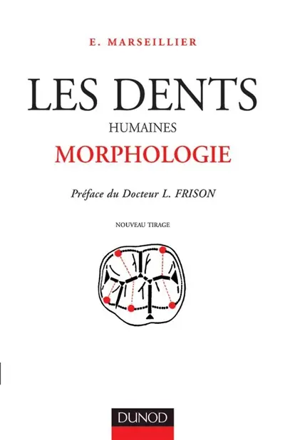 Les Dents humaines : morphologie