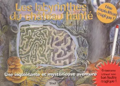 Les labyrinthes du château hanté : une inquiétante et mystérieuse aventure