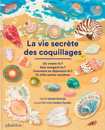 La vie secrète des coquillages : où vivent-ils ? Que mangent-ils ? Comment se déplacent-ils ? Et mille autres mystères