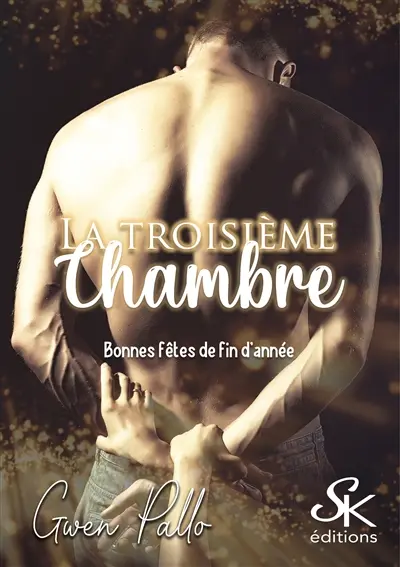 La troisième chambre. Vol. 1. Bonnes fêtes de fin d'année