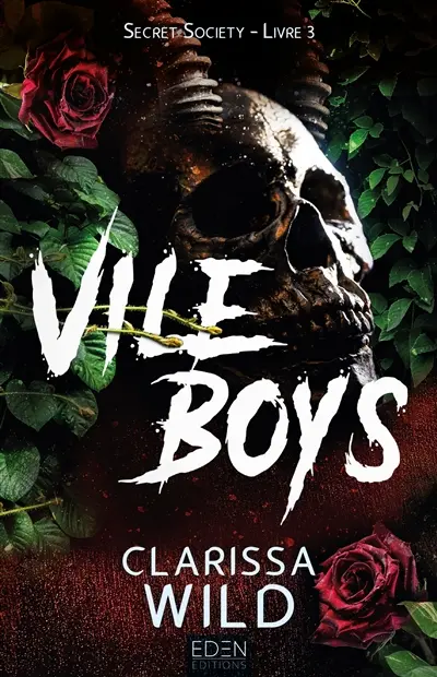 Secret society. Vol. 3. Vile boys