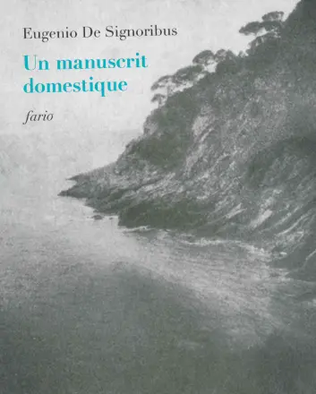 Un manuscrit domestique