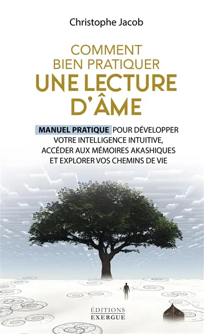 Comment bien pratiquer une lecture d'âme : manuel pratique pour développer votre intelligence intuitive, accéder aux mémoires akashiques et explorer vos chemins de vie