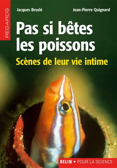 Pas si bêtes les poissons : scènes de leur vie intime