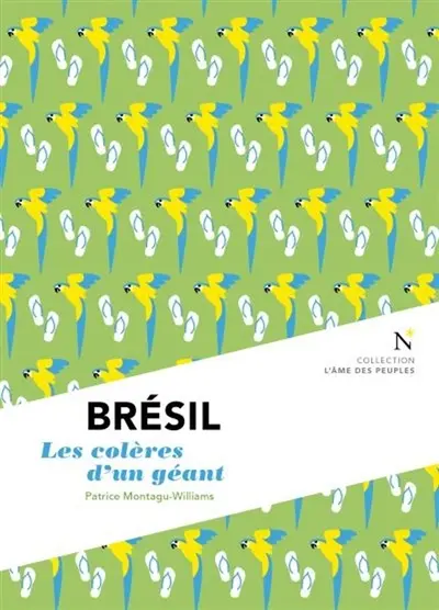 Brésil : les colères d'un géant