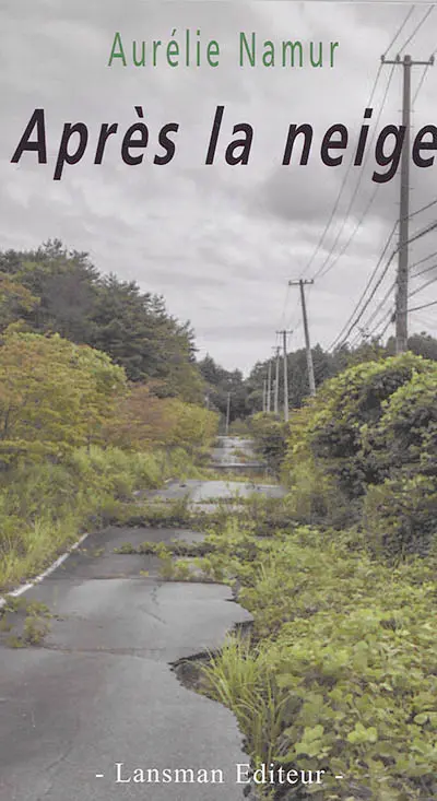 Après la neige