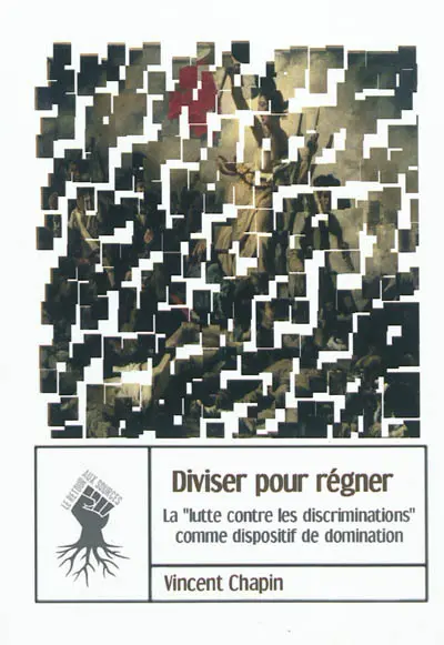 Diviser pour régner : la lutte contre les discriminations comme dispositif de domination