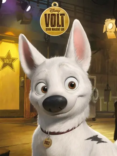 Volt, star malgré lui