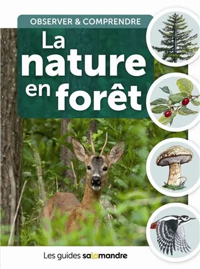 La nature en forêt : observer & comprendre