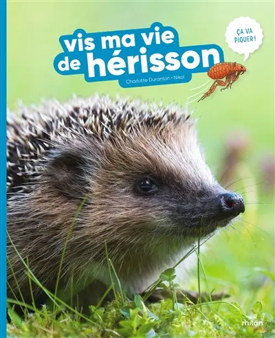 Vis ma vie de hérisson