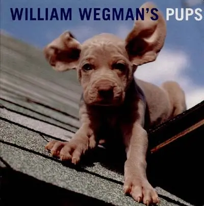 William Wegman´s Pups