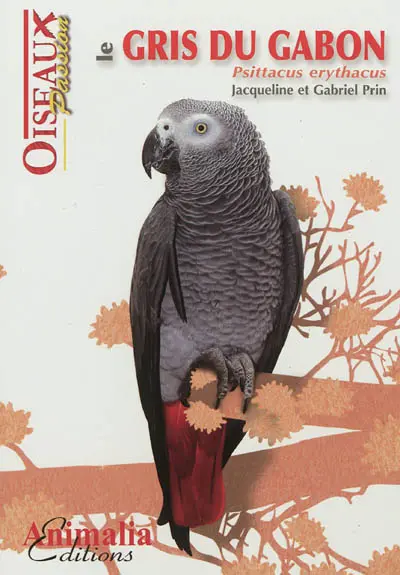 Le gris du Gabon : psittacus erythacus