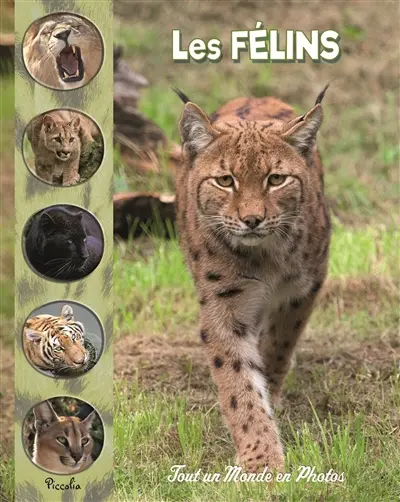 Les félins du monde