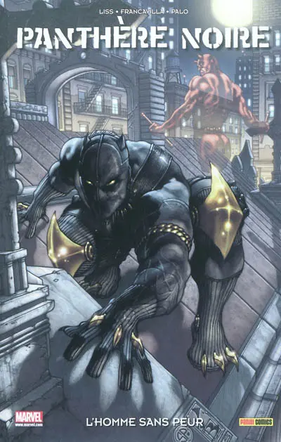 Panthère noire. L'homme sans peur