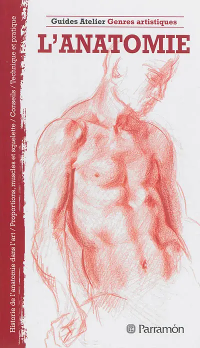 L'anatomie