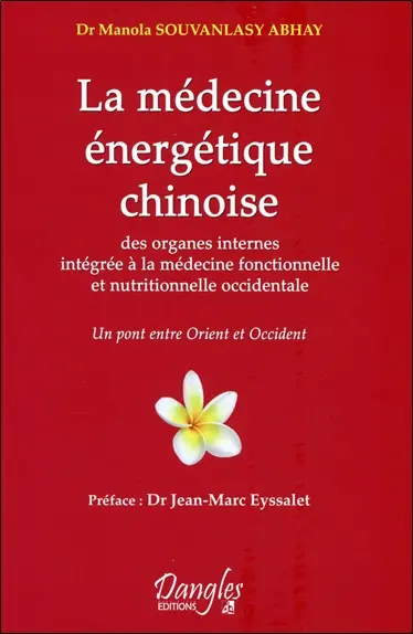 La médecine énergétique chinoise : intégrée à la médecine fonctionnelle et nutritionnelle occidentale : le pont entre l'Orient et l'Occident