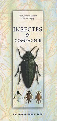 Insectes & compagnie