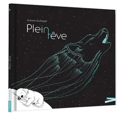 Plein rêve